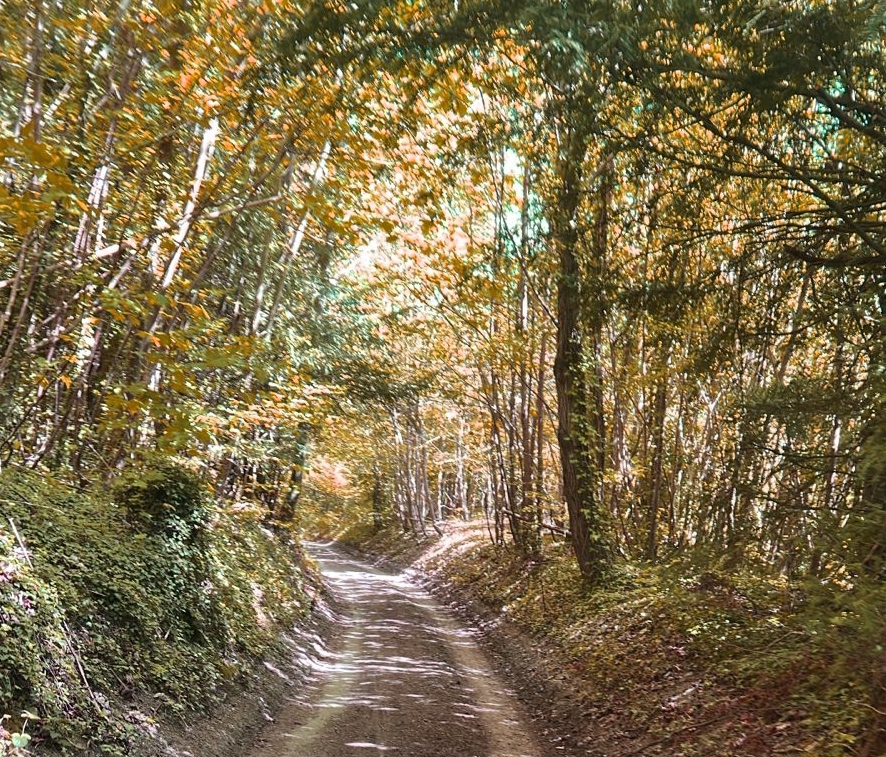 The Whisper of October